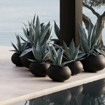 Urchin Plant Pot | Big.