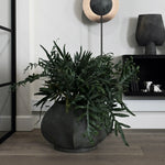 Arket Plant Pot | Big.