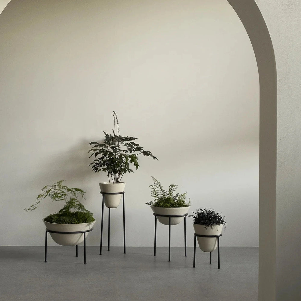 Daiza Planter | Various Sizes.