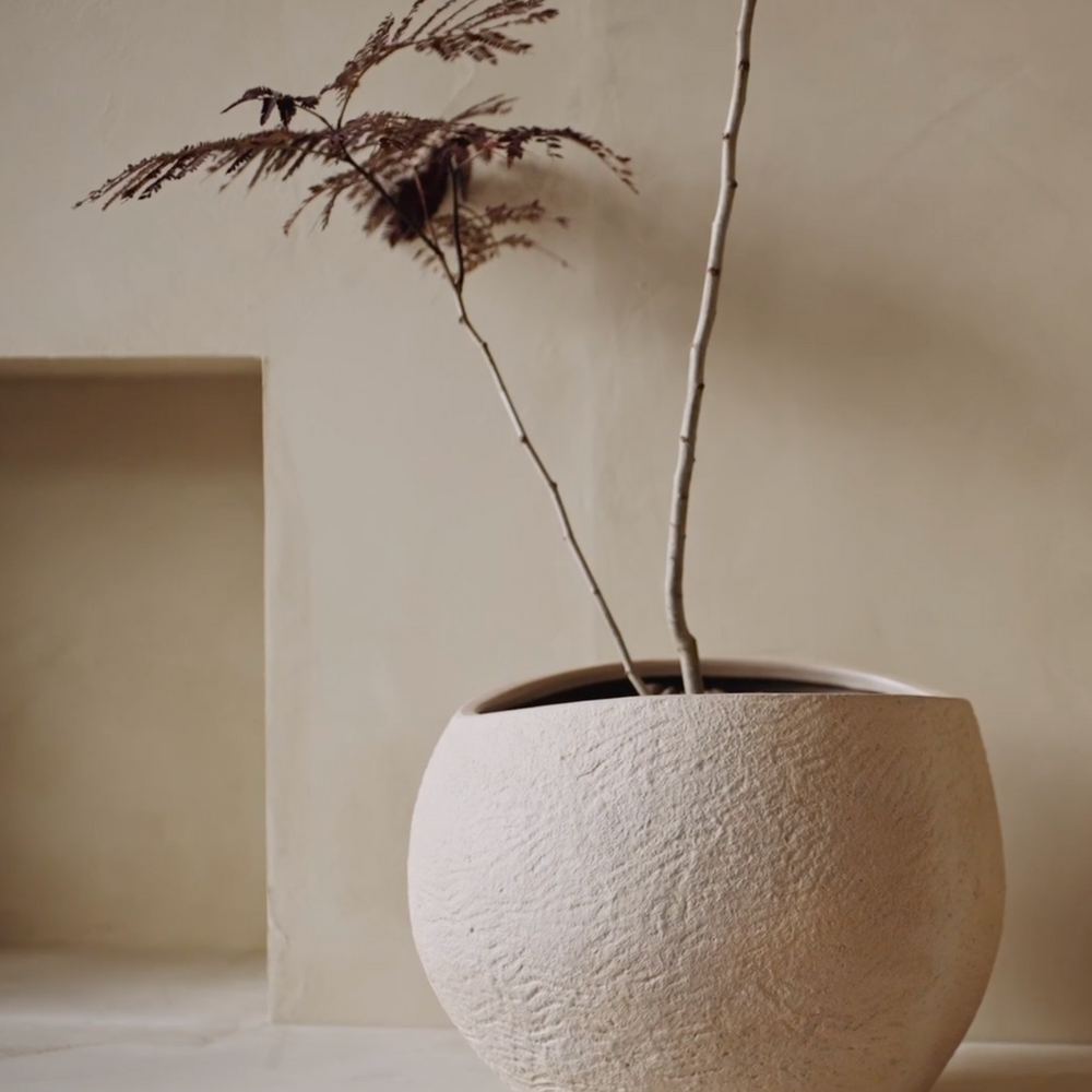 Plantas Planter | Various Sizes.