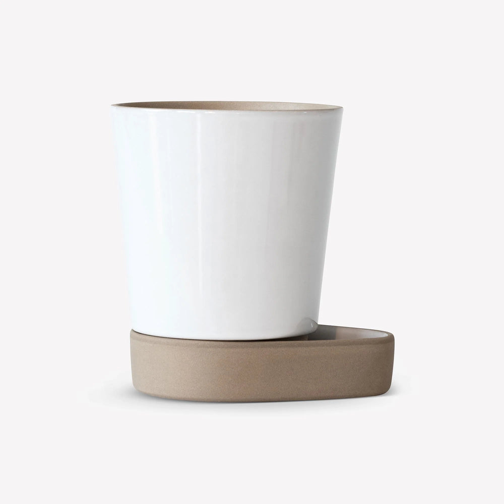 Sip Plant Pot | Various Finishes.