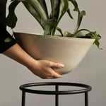 Daiza Planter | Various Sizes.