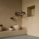 Plantas Planter | Various Sizes.